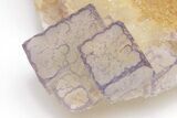 Purple Edge Fluorite Crystal Cluster - Qinglong Mine, China #205491-2